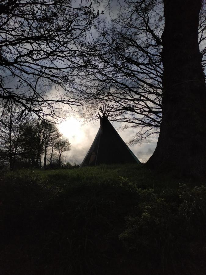 Thipi Khola Luxury tent *